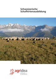 Schweizerische Schafhirtenausbildung - Herdenschutz Schweiz