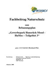 Gewerbepark Hunsrück-Mosel - HuMos – Teilgebiet 3 - Gemeinde ...