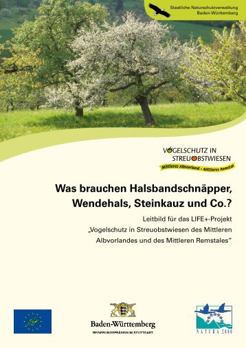 Was brauchen Halsbandschnäpper, Wendehals, Steinkauz und Co.?