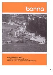 Jahresbericht 2000 PDF - Borna