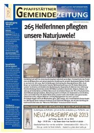 Gemeindezeitung Dezember 2012 - Pfaffstätten