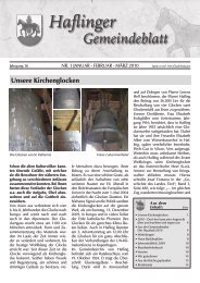 Nr. 1 - 2010 (Ausgabe - Jänner, Februar, März)