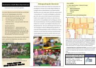 hier (PDF) - Geschwister-Scholl-Schule Bad Laer