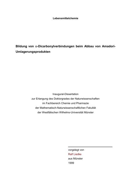 Dissertationsschrift - Ralf Liedke 1999