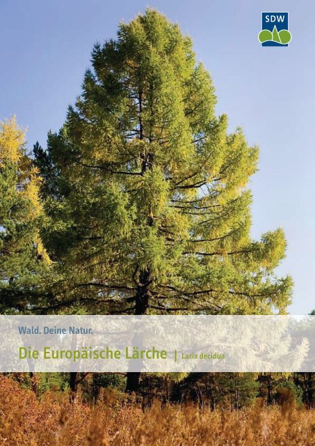 Die Europäische Lärche - Schutzgemeinschaft Deutscher Wald