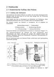 2 Holzkunde