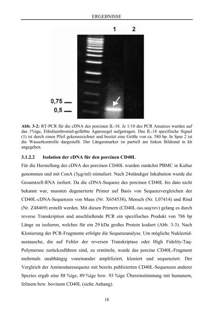 PDF 5.972kB - TOBIAS-lib - Universität Tübingen