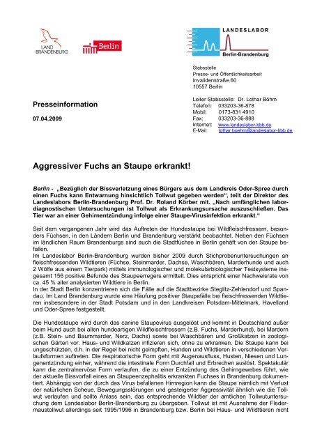 Aggressiver Fuchs an Staupe erkrankt! - Landeslabor Berlin ...