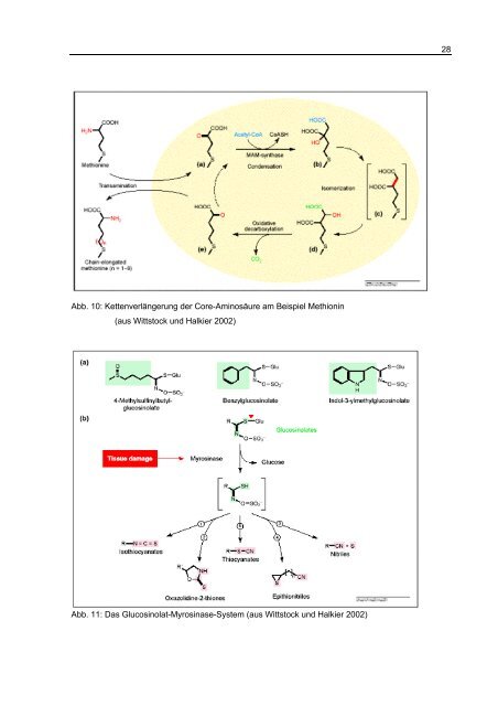 Exkursionsbericht (pdf) - GRK 820 - Christian-Albrechts-Universität ...