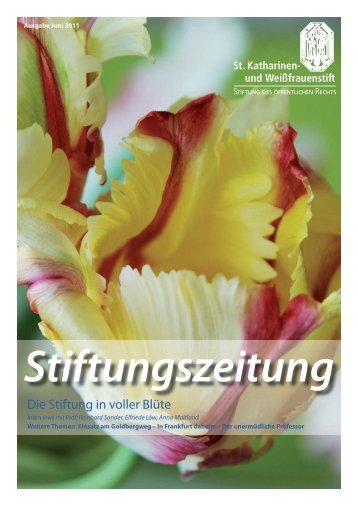 Stiftungszeitung 2011 1 - Ronald Wissler | Visuelle Kommunikation