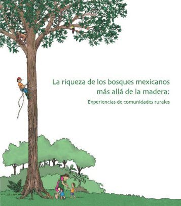 La riqueza de los bosques mexicanos: mas alla de la ... - CIFOR