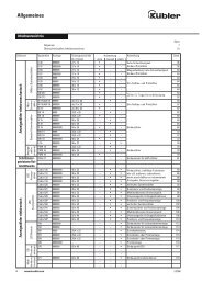 Anzeigezähler elektromechanisch