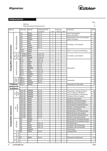 Anzeigezähler elektromechanisch