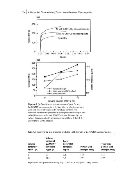 Carbon Nanotube Reinforced Composites: Metal and Ceramic ...