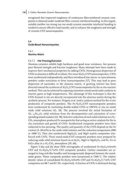 Carbon Nanotube Reinforced Composites: Metal and Ceramic ...