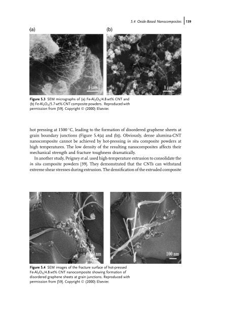 Carbon Nanotube Reinforced Composites: Metal and Ceramic ...