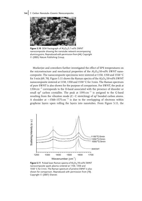 Carbon Nanotube Reinforced Composites: Metal and Ceramic ...