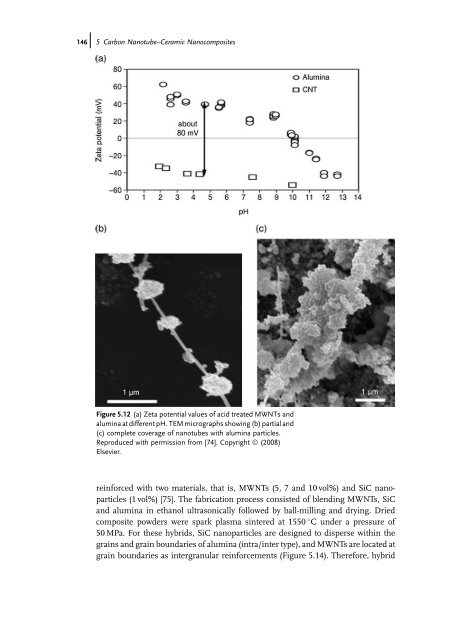 Carbon Nanotube Reinforced Composites: Metal and Ceramic ...