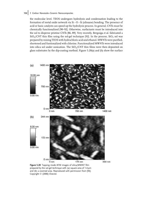 Carbon Nanotube Reinforced Composites: Metal and Ceramic ...