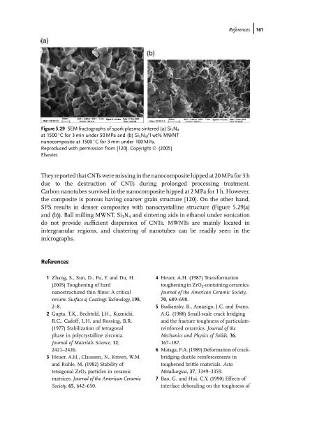 Carbon Nanotube Reinforced Composites: Metal and Ceramic ...