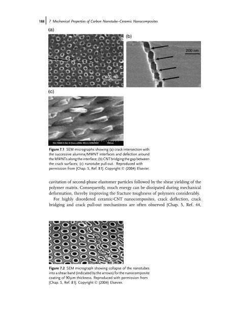 Carbon Nanotube Reinforced Composites: Metal and Ceramic ...