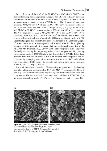 Carbon Nanotube Reinforced Composites: Metal and Ceramic ...