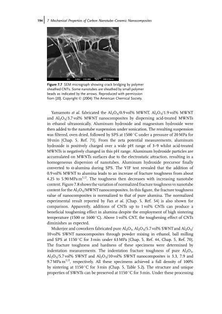 Carbon Nanotube Reinforced Composites: Metal and Ceramic ...