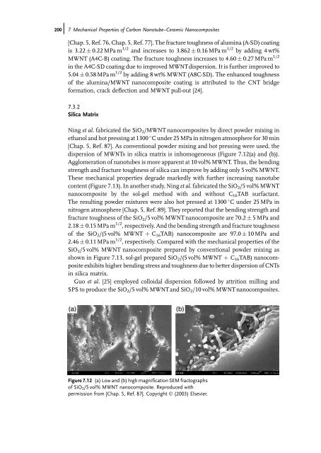 Carbon Nanotube Reinforced Composites: Metal and Ceramic ...