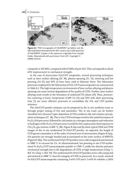 Carbon Nanotube Reinforced Composites: Metal and Ceramic ...