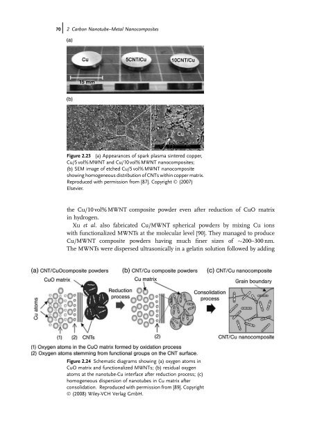 Carbon Nanotube Reinforced Composites: Metal and Ceramic ...