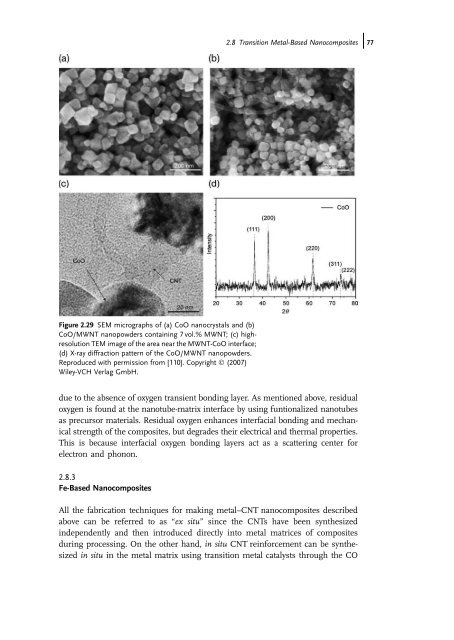 Carbon Nanotube Reinforced Composites: Metal and Ceramic ...