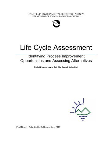 Appendix 3.4 Polymer Manufacturing Report - Polyestertime.com