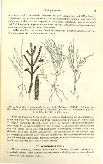 Symbolae sinicae ?botanische Ergebnisse der ... - Algaebase