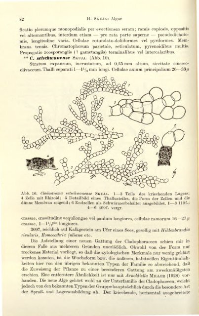 Symbolae sinicae ?botanische Ergebnisse der ... - Algaebase