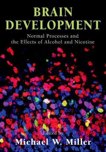 Brain Development: Normal Processes and the Effects of Alcohol ...