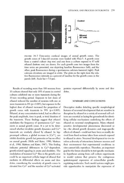 Brain Development: Normal Processes and the Effects of Alcohol ...