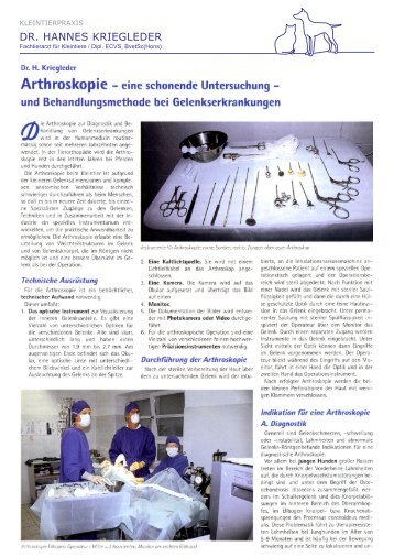 Presse Arthroskopie - Kleintierpraxis Dr. Hannes Kriegleder