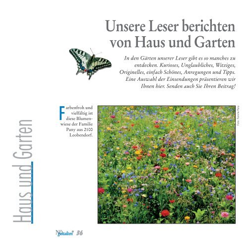 Nr. 125/August 09 (Druck-Version, pdf mit - NÖ gestalten