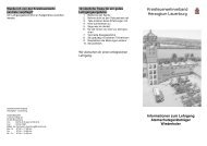 Flyer Lehrgang Atemschutzgeräteträger Wiederholer.pdf