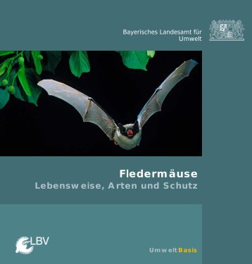 Fledermäuse - Lebensweise, Arten und Schutz - Bund Naturschutz ...