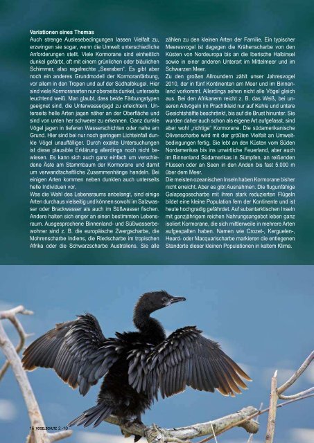Buchenwälder Kormoran eisvogel Magazin für Arten- und ... - LBV