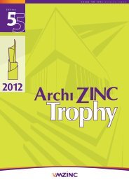 Edition - VM Zinc