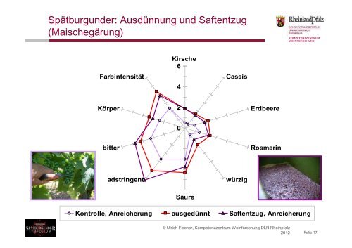 Ulrich Fischer über die Oenologische Vielfalt des Spätburgunders