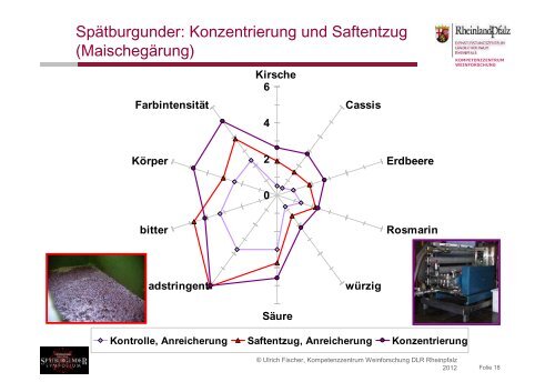 Ulrich Fischer über die Oenologische Vielfalt des Spätburgunders