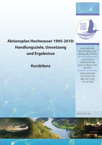 Aktionsplan Hochwasser 1995-2010: Handlungsziele ... - IKSR