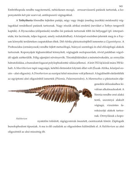 Paleontológia jegyzet - Gekko