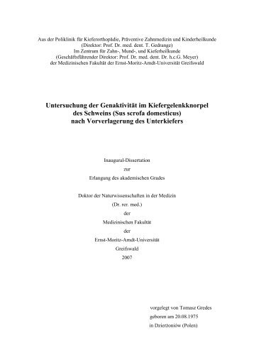 Promotionsarbeit.pdf - Ernst-Moritz-Arndt-Universität Greifswald