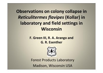Observations on colony collapse in Reticulitermes flavipes (Kollar ...