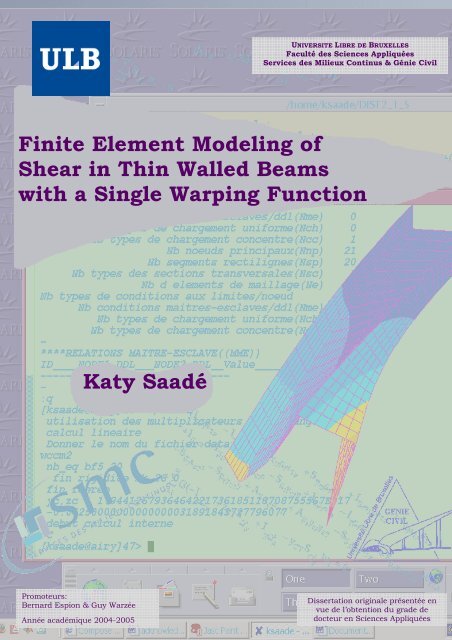 Finite Element Modeling of Shear in Thin Walled Beams with a 