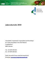 Jahresbericht 2010 - Vergleichende Tropenmedizin und ...
